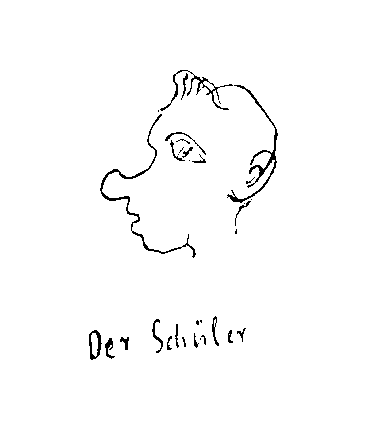 Der Schüler