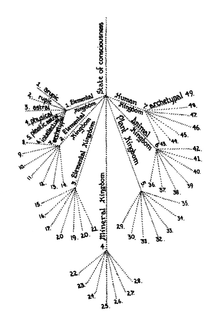 Diagram XXIV