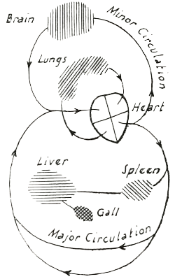 Diagram 4 from An Occult Physiology (1951) ...