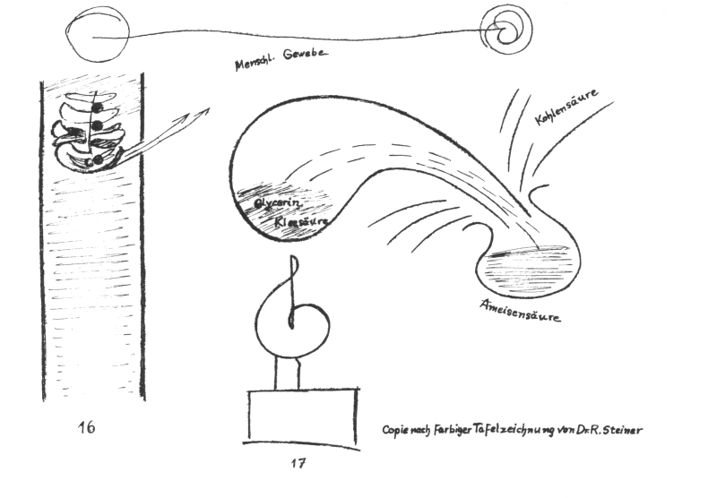 Diagram Page 5