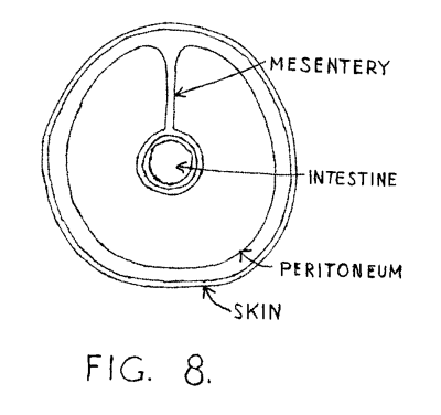 Figure 8